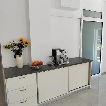 Aria 普里莫尔斯科